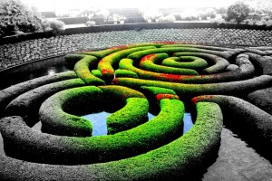 Photography 036-1
