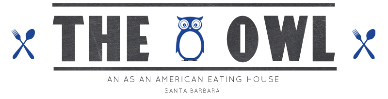 the-blue-owl-santa-barbara